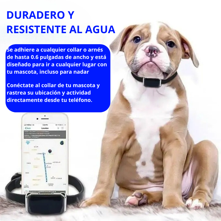 Collar Localizador SmartPet