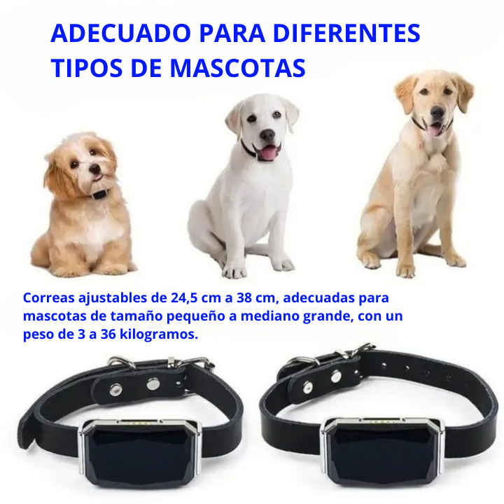 Collar Localizador SmartPet