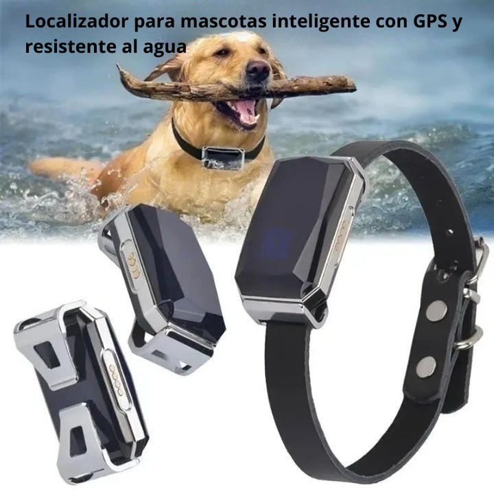 Collar Localizador SmartPet